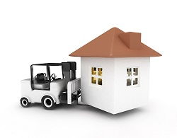 France Man and Van for Hire 