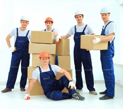 Image representing accessible France removals information with clear headings